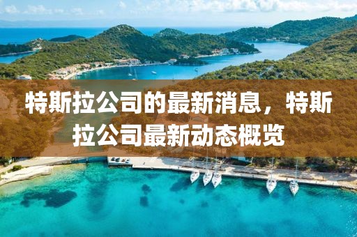 特斯拉公司的最新消息，特斯拉公司最新動態(tài)概覽