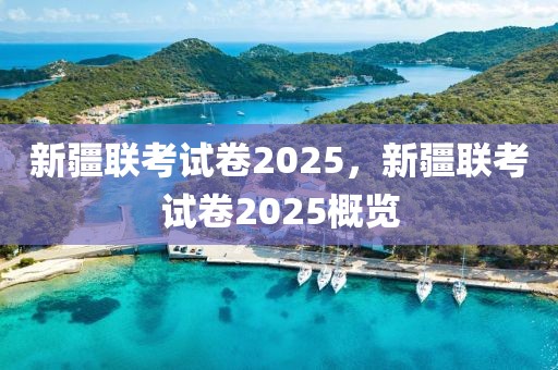 新疆聯(lián)考試卷2025，新疆聯(lián)考試卷2025概覽