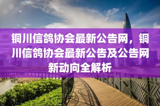 銅川信鴿協會最新公告網，銅川信鴿協會最新公告及公告網新動向全解析