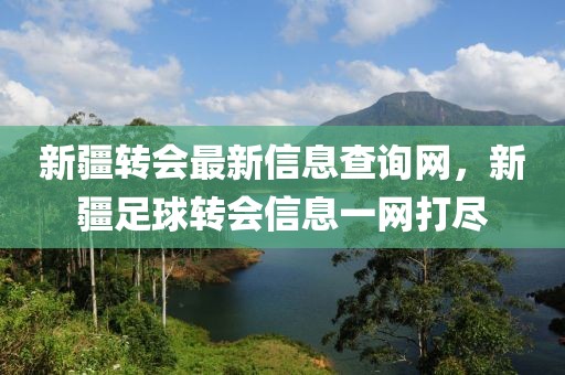 新疆轉(zhuǎn)會最新信息查詢網(wǎng)，新疆足球轉(zhuǎn)會信息一網(wǎng)打盡
