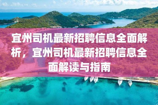 宜州司機最新招聘信息全面解析，宜州司機最新招聘信息全面解讀與指南