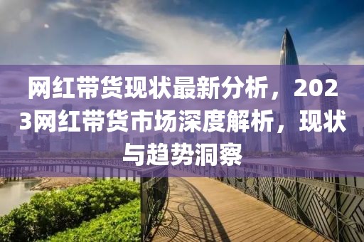 網紅帶貨現狀最新分析，2023網紅帶貨市場深度解析，現狀與趨勢洞察