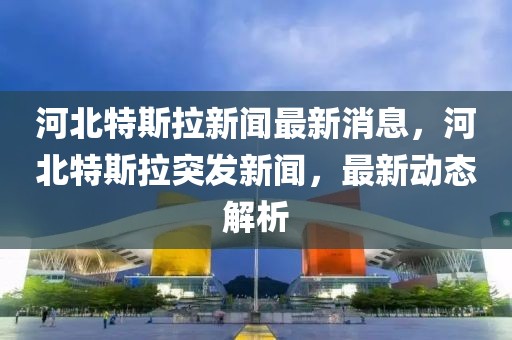 河北特斯拉新聞最新消息，河北特斯拉突發新聞，最新動態解析