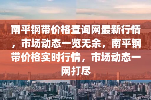 南平鋼帶價格查詢網最新行情，市場動態一覽無余，南平鋼帶價格實時行情，市場動態一網打盡