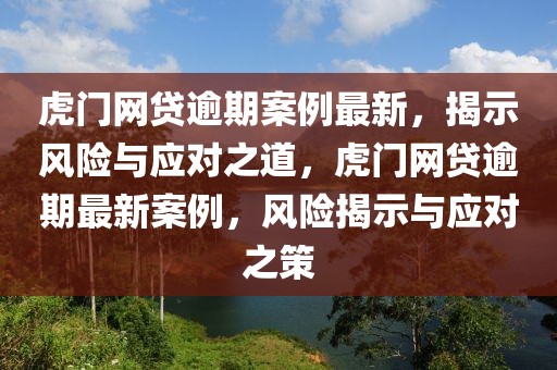 虎門網貸逾期案例最新，揭示風險與應對之道，虎門網貸逾期最新案例，風險揭示與應對之策