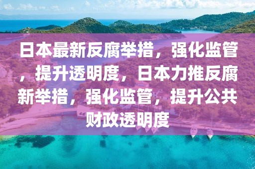 日本最新反腐舉措，強化監管，提升透明度，日本力推反腐新舉措，強化監管，提升公共財政透明度