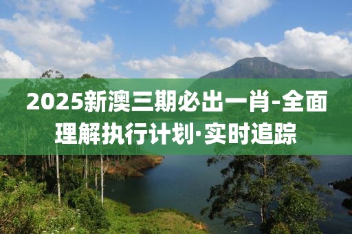 2025新澳三期必出一肖-全面理解執行計劃·實時追蹤