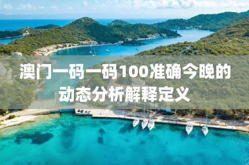 澳門一碼一碼100準確今晚的動態分析解釋定義