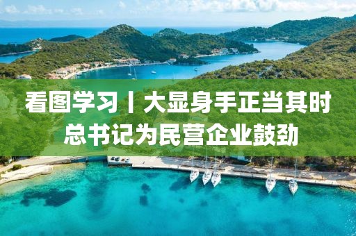 看圖學習丨大顯身手正當其時 總書記為民營企業鼓勁
