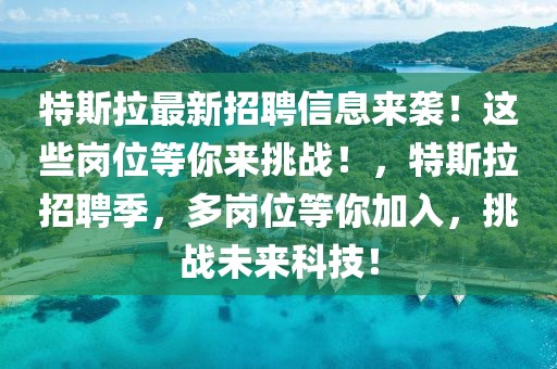 特斯拉最新招聘信息來襲！這些崗位等你來挑戰！，特斯拉招聘季，多崗位等你加入，挑戰未來科技！