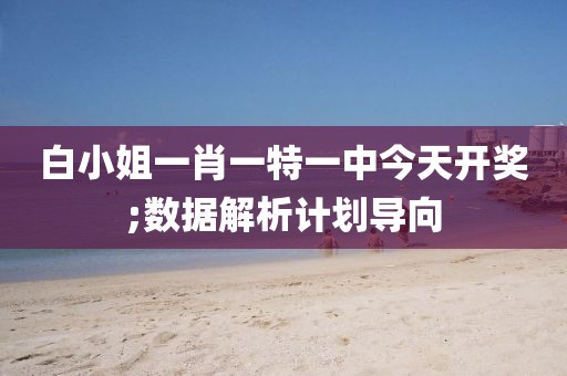 白小姐一肖一特一中今天開獎;數據解析計劃導向
