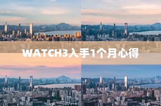 WATCH3入手1個(gè)月心得
