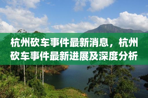 杭州砍車事件最新消息，杭州砍車事件最新進展及深度分析