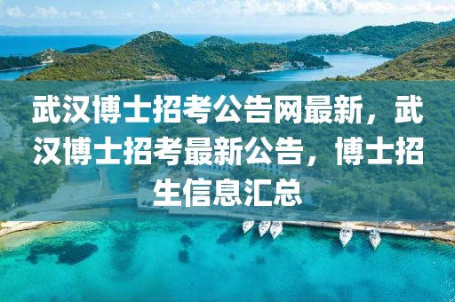 武漢博士招考公告網(wǎng)最新，武漢博士招考最新公告，博士招生信息匯總
