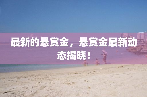 最新的懸賞金，懸賞金最新動態揭曉！