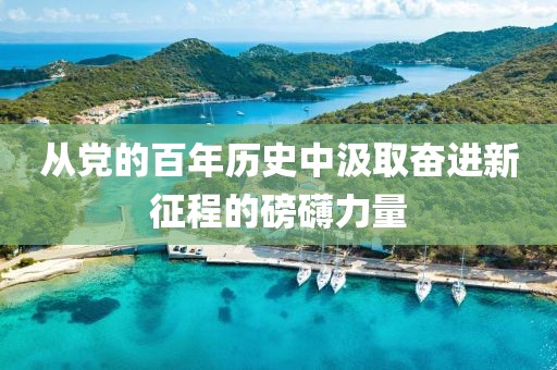 從黨的百年歷史中汲取奮進新征程的磅礴力量