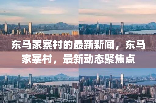 東馬家寨村的最新新聞，東馬家寨村，最新動態聚焦點