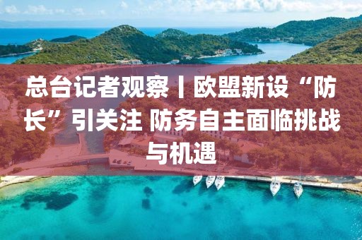 總臺記者觀察丨歐盟新設“防長”引關注 防務自主面臨挑戰與機遇