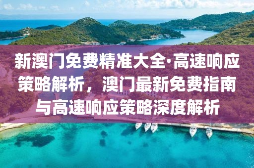 新澳門免費精準大全·高速響應策略解析，澳門最新免費指南與高速響應策略深度解析