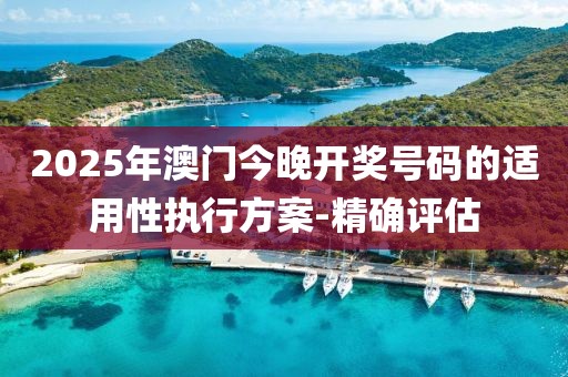 2025年澳門今晚開獎號碼的適用性執行方案-精確評估