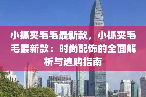 小抓夾毛毛最新款，小抓夾毛毛最新款：時尚配飾的全面解析與選購指南