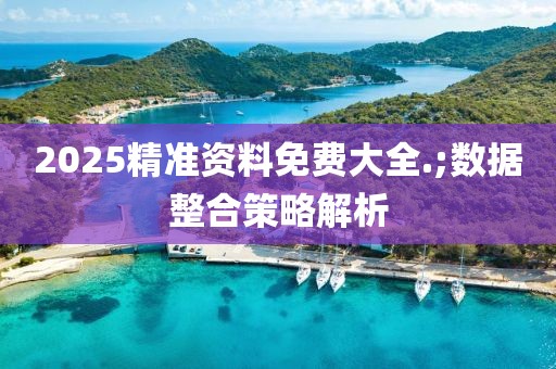 2025精準資料免費大全.;數據整合策略解析