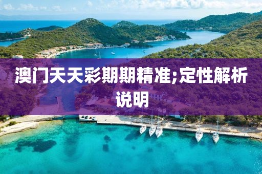 澳門天天彩期期精準;定性解析說明