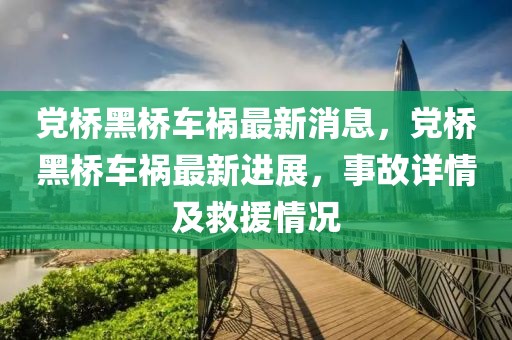 黨橋黑橋車禍最新消息，黨橋黑橋車禍最新進展，事故詳情及救援情況