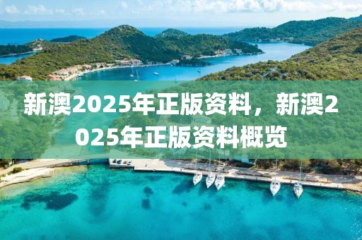 新澳2025年正版資料，新澳2025年正版資料概覽