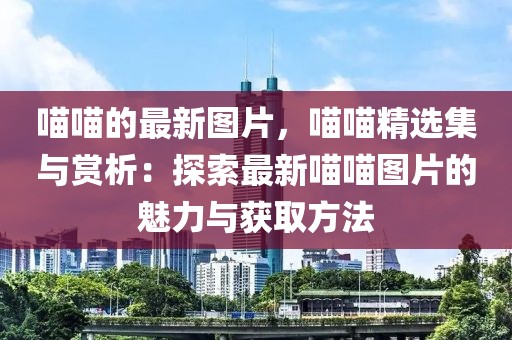 喵喵的最新圖片，喵喵精選集與賞析：探索最新喵喵圖片的魅力與獲取方法