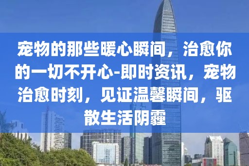 寵物的那些暖心瞬間，治愈你的一切不開心-即時(shí)資訊，寵物治愈時(shí)刻，見證溫馨瞬間，驅(qū)散生活陰霾