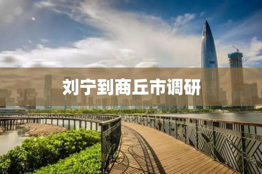 劉寧到商丘市調研