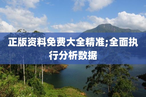正版資料免費大全精準;全面執行分析數據