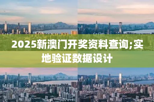 2025新澳門開獎資料查詢;實地驗證數據設計