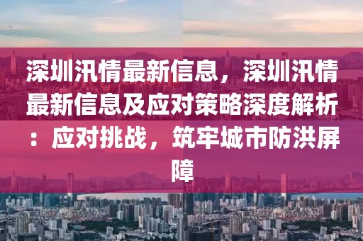 深圳汛情最新信息，深圳汛情最新信息及應對策略深度解析：應對挑戰，筑牢城市防洪屏障