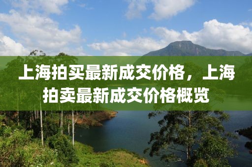 上海拍買最新成交價格，上海拍賣最新成交價格概覽