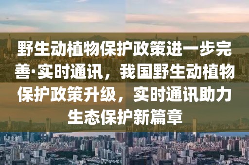 2025年3月5日 第60頁