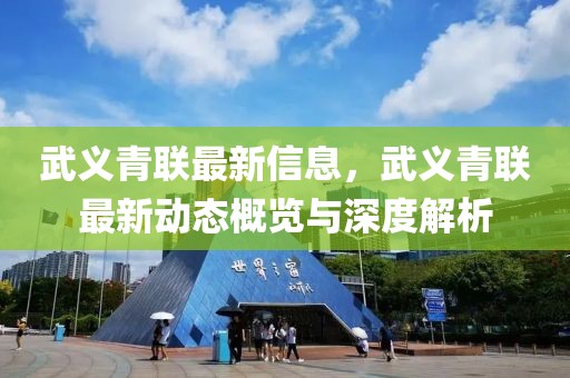 武義青聯(lián)最新信息，武義青聯(lián)最新動態(tài)概覽與深度解析