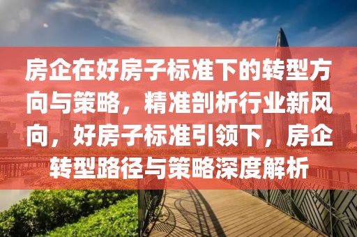 房企在好房子標(biāo)準(zhǔn)下的轉(zhuǎn)型方向與策略，精準(zhǔn)剖析行業(yè)新風(fēng)向，好房子標(biāo)準(zhǔn)引領(lǐng)下，房企轉(zhuǎn)型路徑與策略深度解析