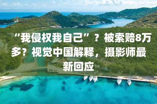 “我侵權我自己”？被索賠8萬多？視覺中國解釋，攝影師最新回應
