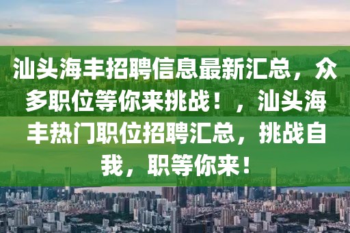 汕頭海豐招聘信息最新匯總，眾多職位等你來挑戰！，汕頭海豐熱門職位招聘匯總，挑戰自我，職等你來！