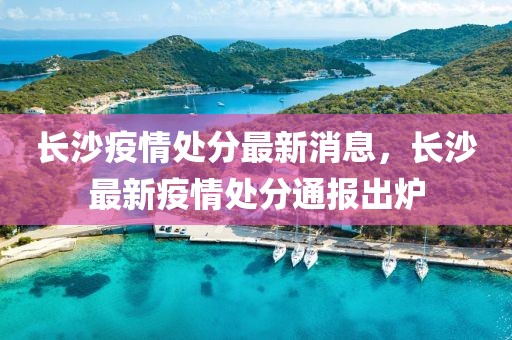 長沙疫情處分最新消息，長沙最新疫情處分通報出爐