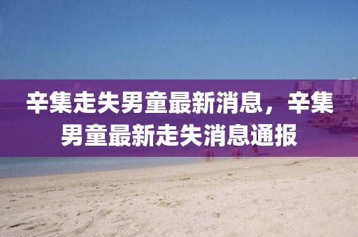 辛集走失男童最新消息，辛集男童最新走失消息通報
