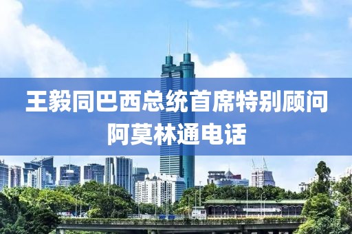 王毅同巴西總統首席特別顧問阿莫林通電話