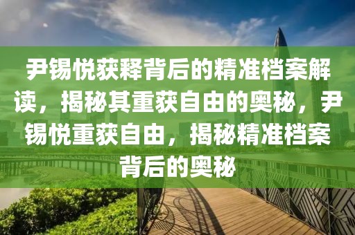 尹錫悅獲釋背后的精準(zhǔn)檔案解讀，揭秘其重獲自由的奧秘，尹錫悅重獲自由，揭秘精準(zhǔn)檔案背后的奧秘