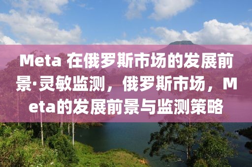 Meta 在俄羅斯市場的發展前景·靈敏監測，俄羅斯市場，Meta的發展前景與監測策略