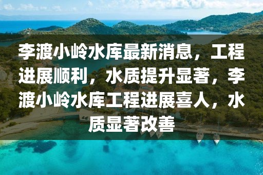 李渡小嶺水庫最新消息，工程進展順利，水質提升顯著，李渡小嶺水庫工程進展喜人，水質顯著改善
