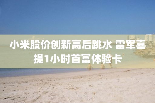小米股價創新高后跳水 雷軍喜提1小時首富體驗卡