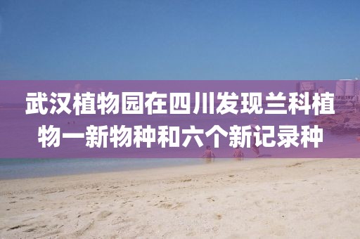 武漢植物園在四川發現蘭科植物一新物種和六個新記錄種