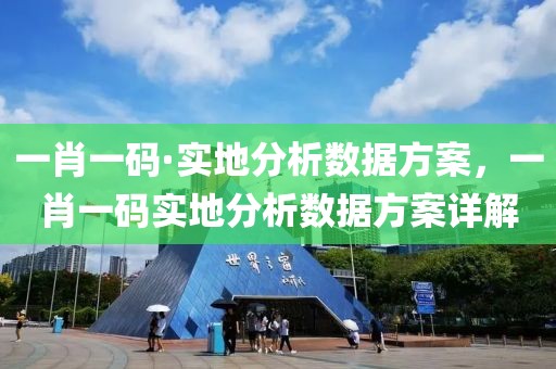 一肖一碼·實(shí)地分析數(shù)據(jù)方案，一肖一碼實(shí)地分析數(shù)據(jù)方案詳解